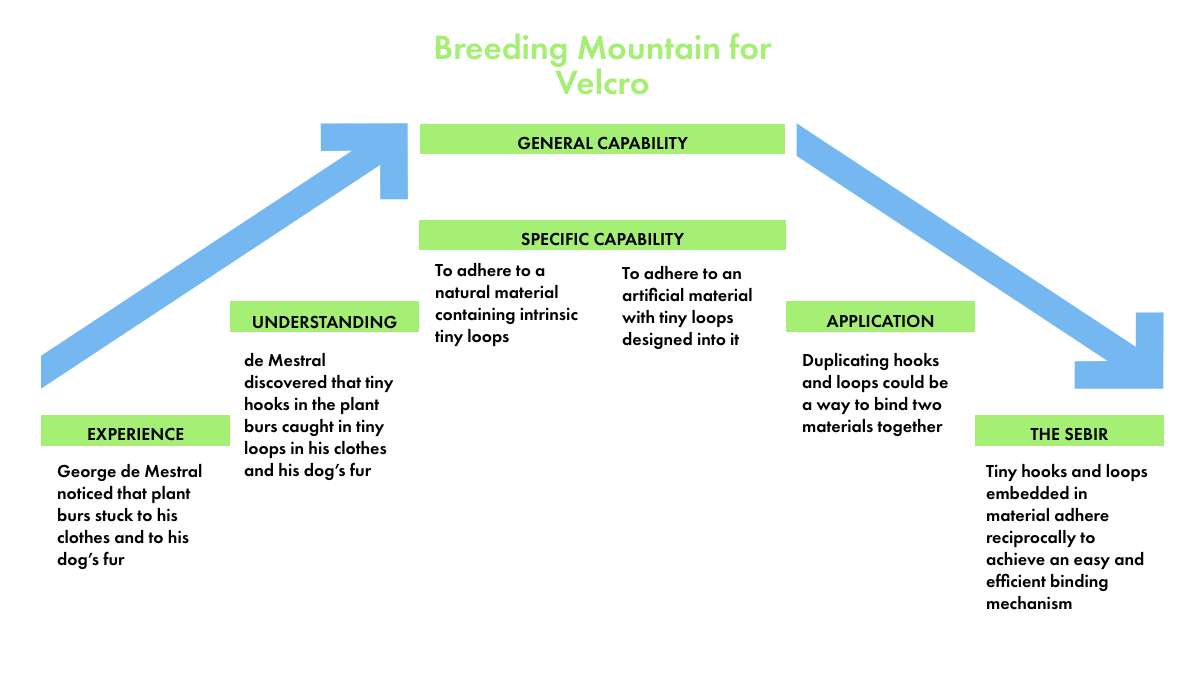 Breeding Mountain Diagram